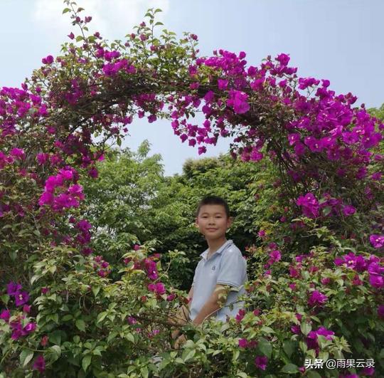 中国娃纪事｜《开满丁香花的校园》六年级达元之构思让人意想不到