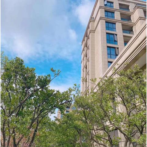 重庆蚂蚁公馆别墅房价的长尾关键词有哪些