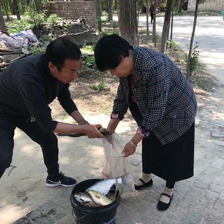 周口市王集小区房价多少