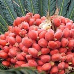 门的对角线是哪个位置？