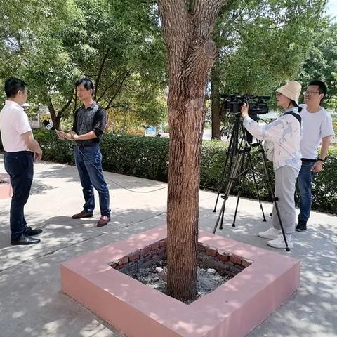 仙游是福建哪个县