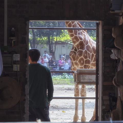 桂林市二类高中有哪些