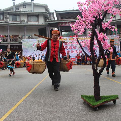 桂林市本地水果有哪些