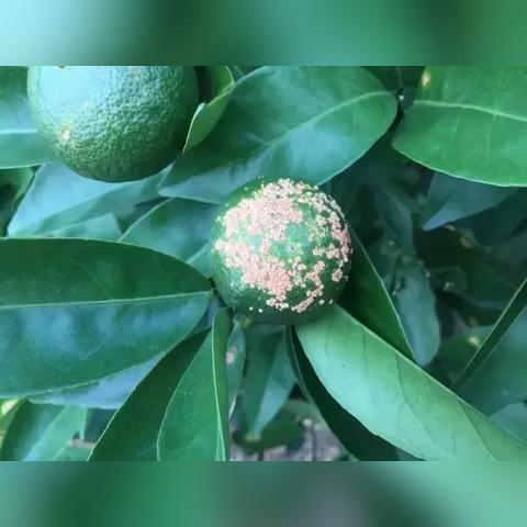 桂林pp雨水收集系统相关长尾关键词有哪些