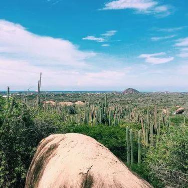 酒店管理系统软件排名的长尾关键词有什么