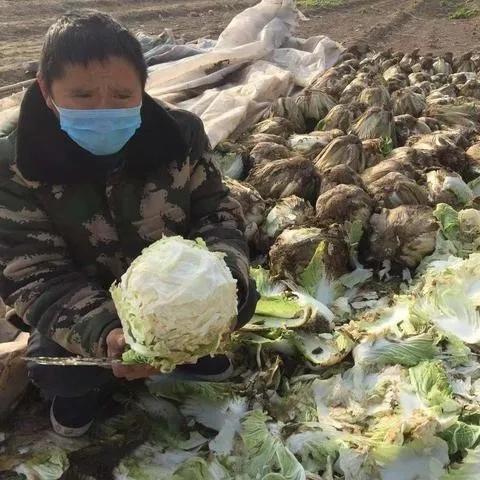 湖州市和武汉市哪个好