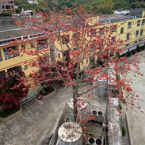 广西最好的初中排名？