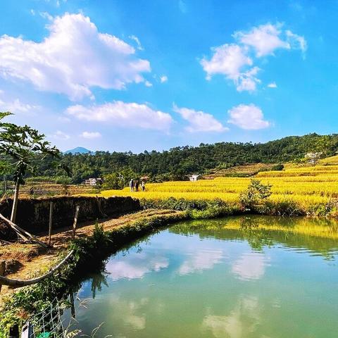 立夏节气南方吃什么