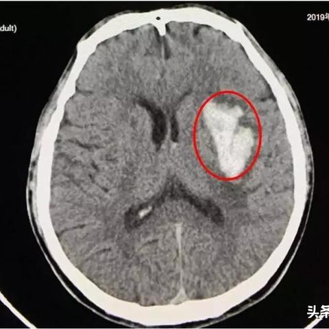成都市打印资料店在哪里