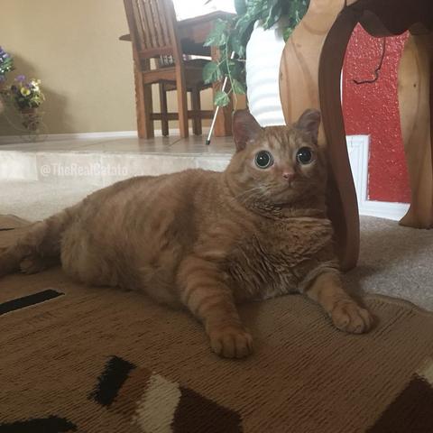 广东省佛山市智障收容所的长尾关键词有什么