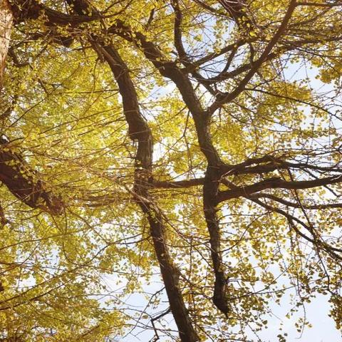 石家庄市北国超市丰收店的长尾关键词有哪些