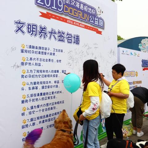 石家庄市海昌宠物的长尾关键词有什么