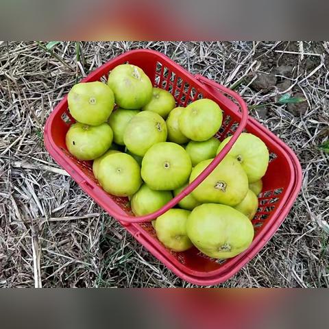 保定市曲阳县有哪些高中