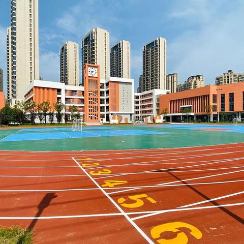 合肥市经开区多少所小学