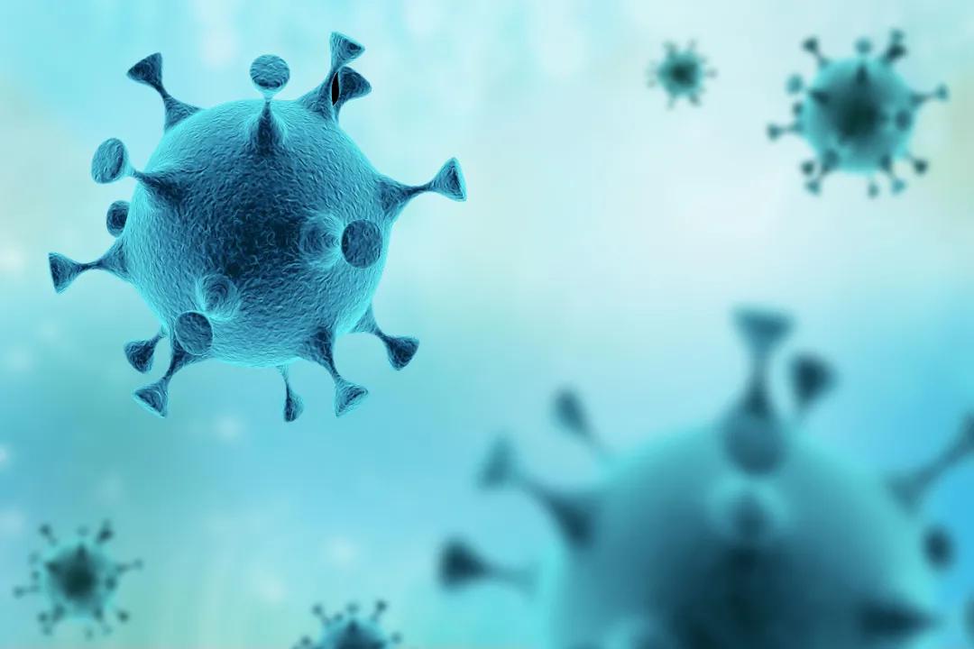 藿香正气水对新冠病毒有用吗
 （藿香正气水治新冠状病毒吗）