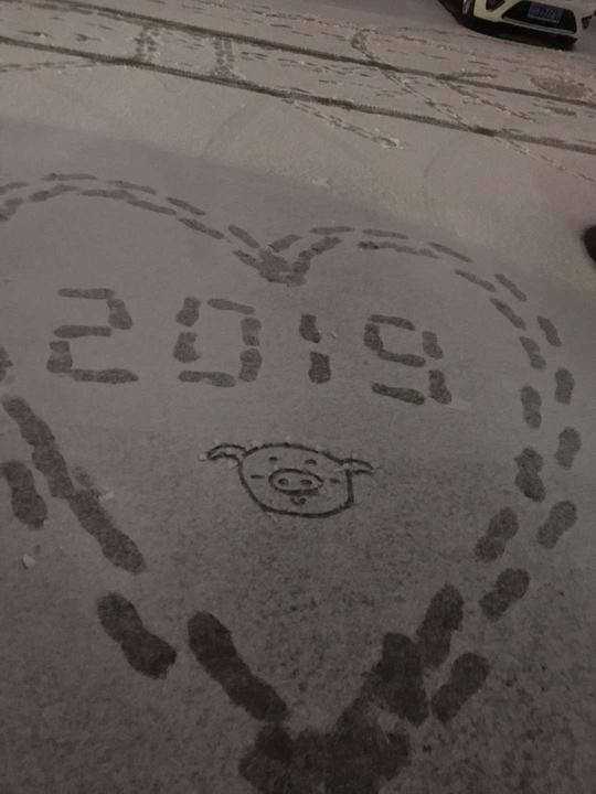 雪落扬州静无声