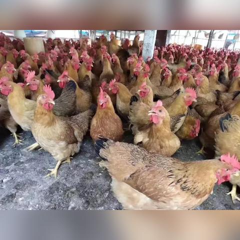 力源生鲜超市生意怎么样？