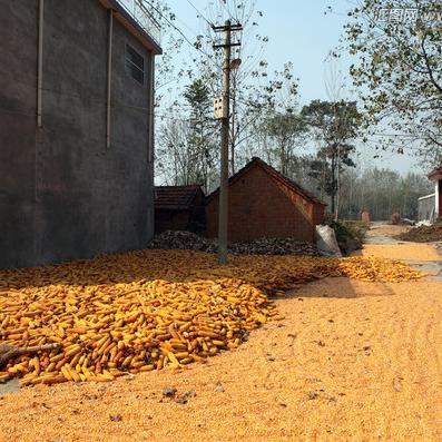 2026.1.2菏泽最新天气预报查询