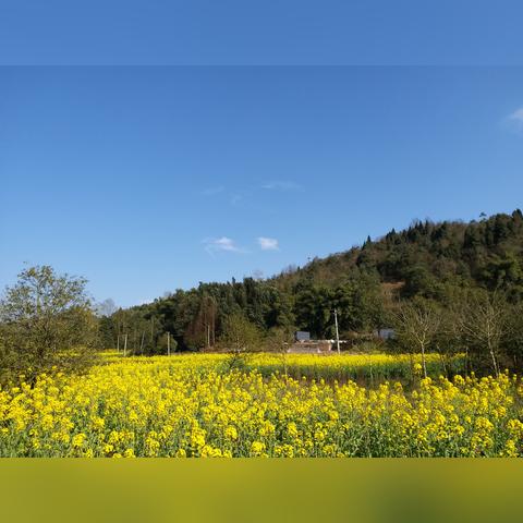 四川春节天气怎么样