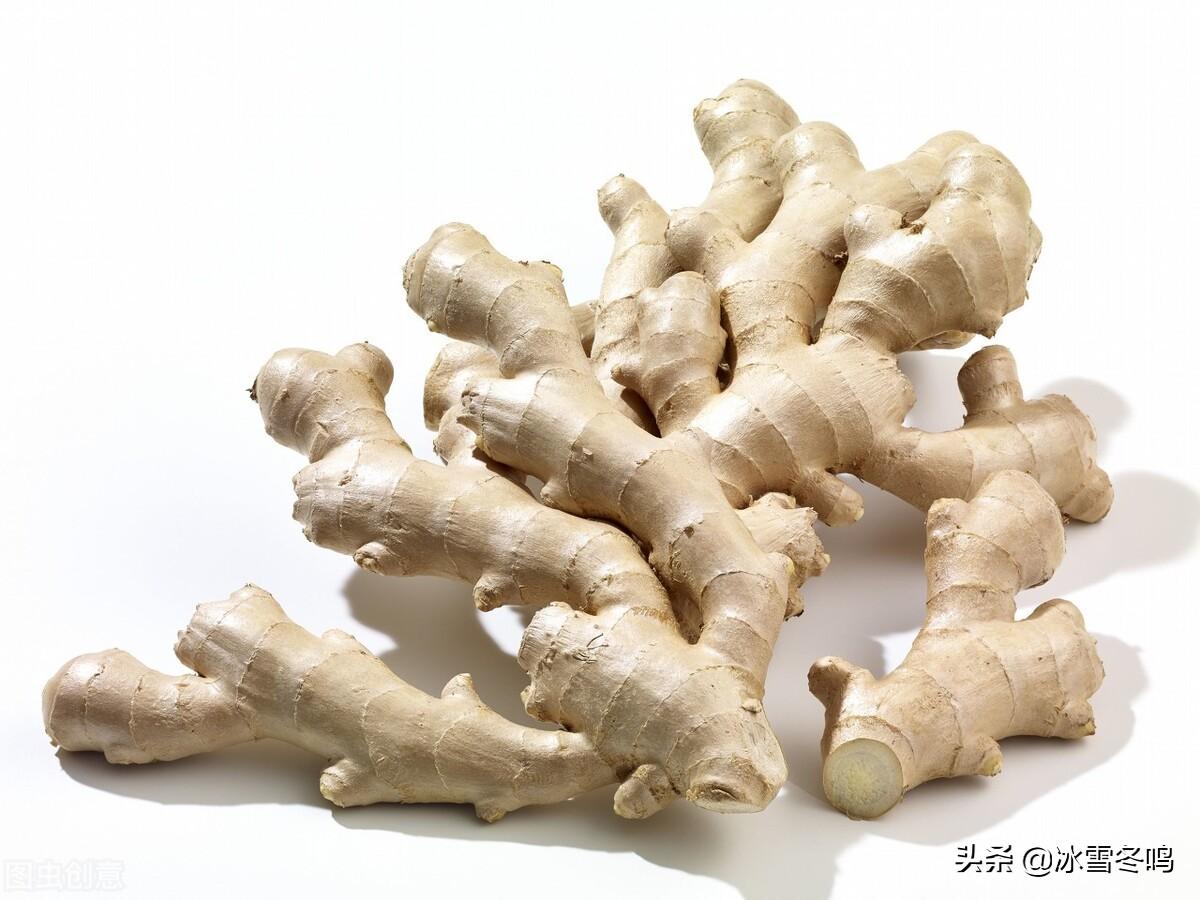 沙姜和生姜的区别(沙姜跟洋姜的区别)