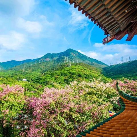 广东东莞市的春游的长尾关键词有哪些