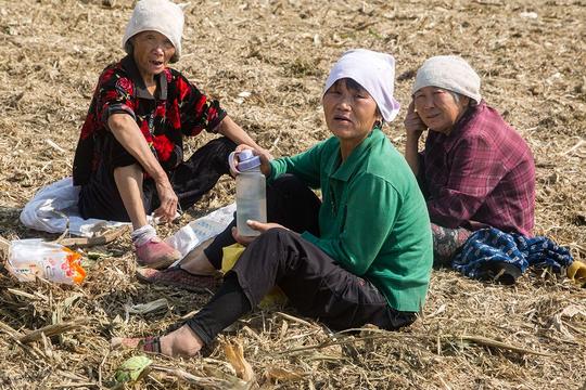 农村老龄化加剧，年轻人不会种地，未来的田谁种？