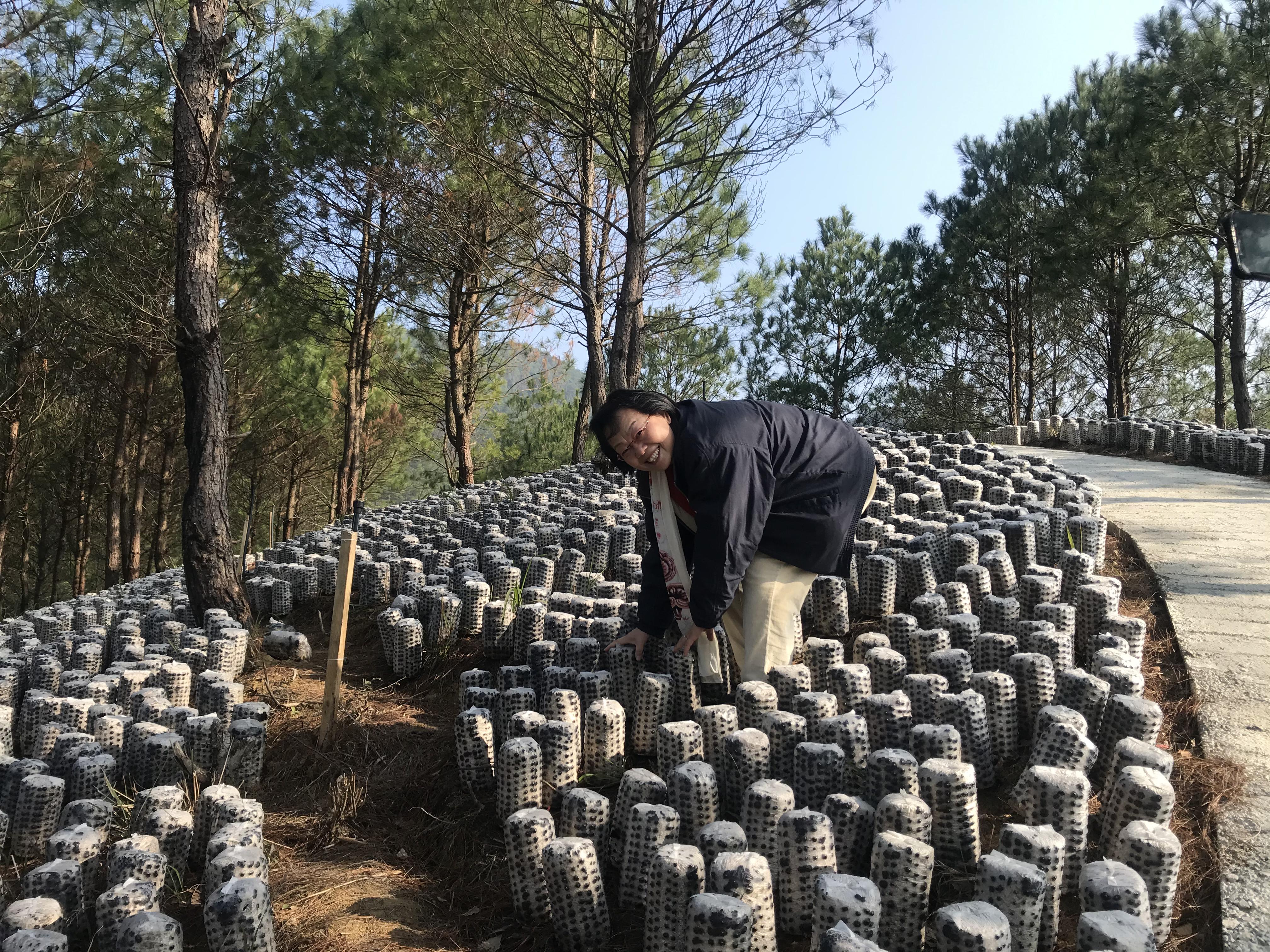 助農(nóng)驛站柑橘種植手藝_你覺(jué)得哪種禮物更讓人喜好