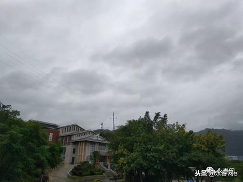 南京雨花石香烟市场销售情况及购买渠道探析-第1张图片-香烟批发平台