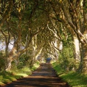 黑暗君临（黑暗君临，探索未知的领域）