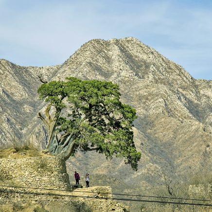 天津哪个寺庙开着