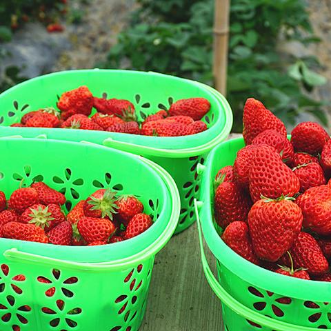 武汉周边自驾一日游推荐的相关长尾关键词有哪些