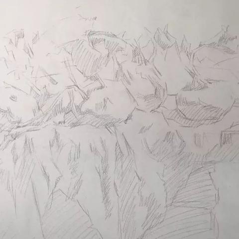 河南一模静物的相关长尾关键词有哪些