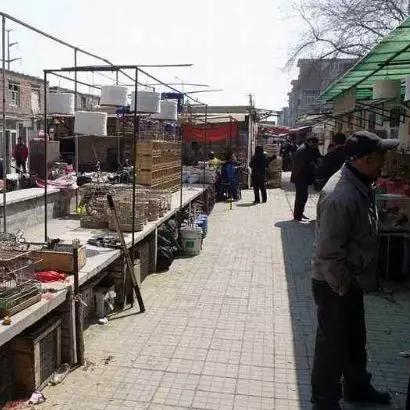 天津邮币卡怎么样了