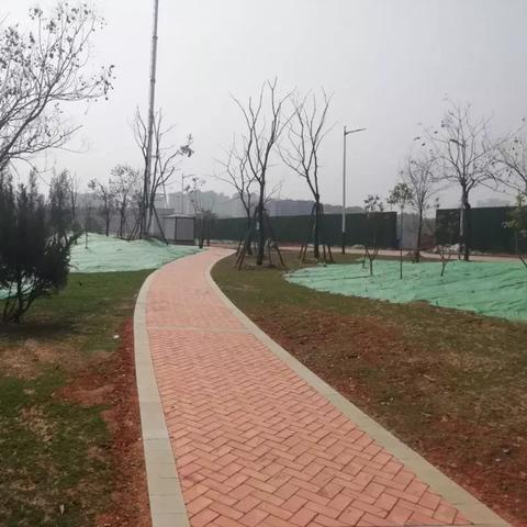 武汉2环至3环有哪些区？