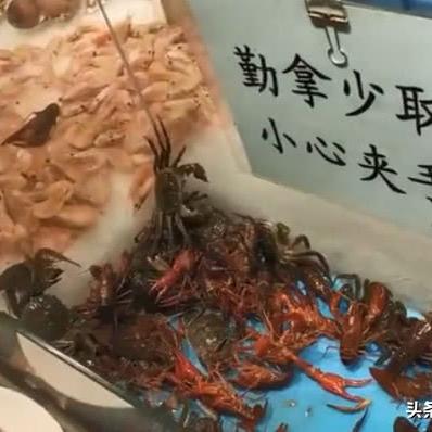 【天津火锅自助】相关长尾关键词有哪些