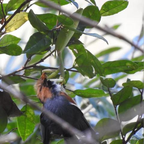 福建 药的相关长尾关键词有哪些