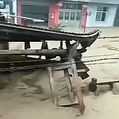 福建顺昌仁寿小学怎么样