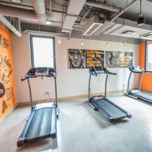 合肥租房避坑公司相关长尾关键词有哪些