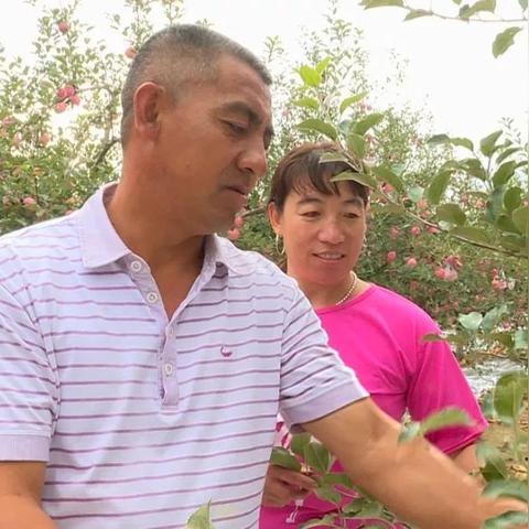 苏州市晶乐什么企业