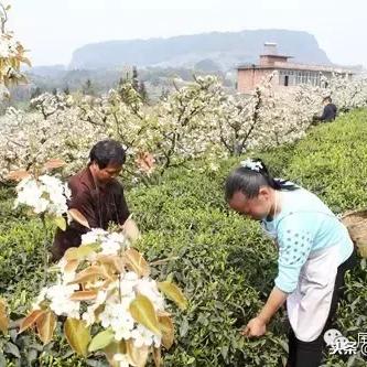 如何能发财快一点呢图片大全集视频教程