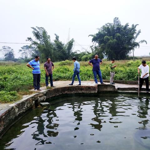 广东省佛山市禪城区天气的长尾关键词有哪些