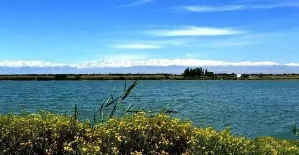 沙漠与绿洲气象职称论文范文新疆气候会不会变冷