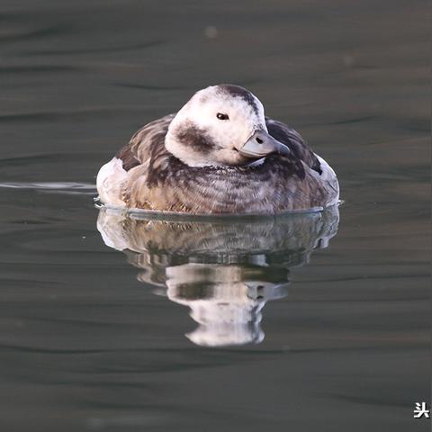 杭州秋季的相关长尾关键词有哪些