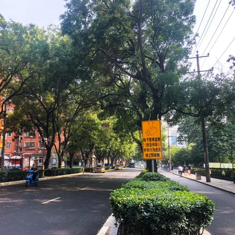石家庄市青园街学校的长尾关键词有什么
