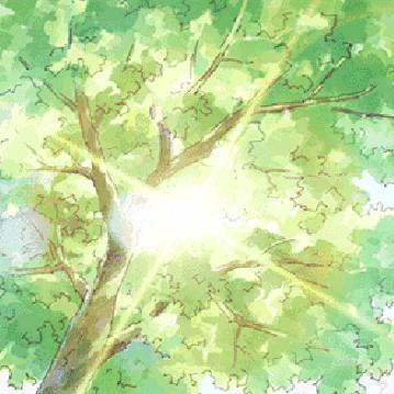 2025.12.28长沙最新天气预报查询