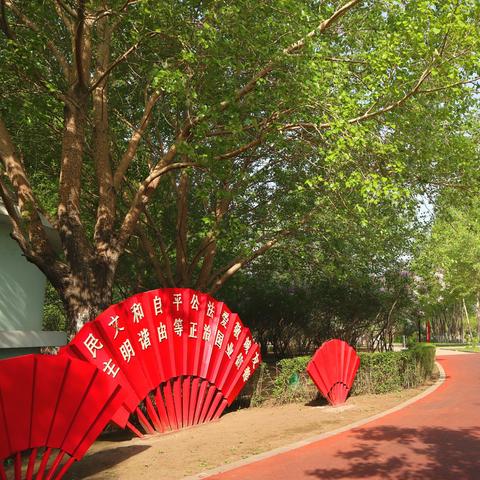 哈尔滨市花为什么市丁香