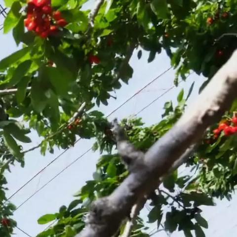 大连一体机维修的长尾关键词有什么