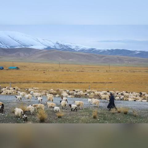 西宁 兰州旅游的相关长尾关键词有哪些