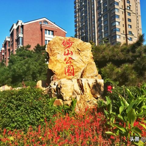 沈阳市同泽学校是哪个区