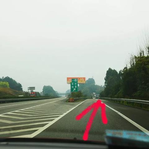 武汉到洪湖怎么省高速费？